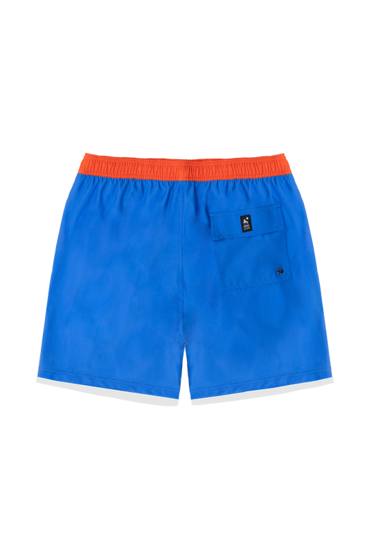 Le Surfrider Blue